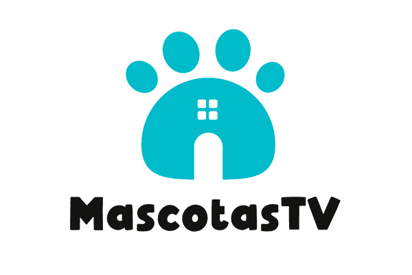 64_mascotas_tv_ef5885f893